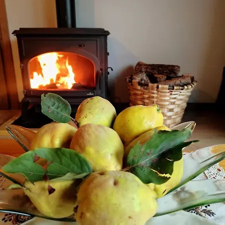 La Galiana Loft Nature Villa