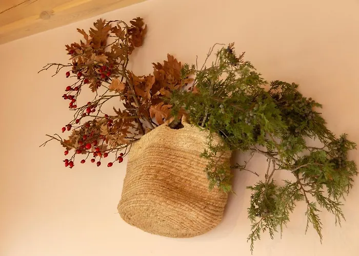 La Galiana Loft Nature * Casarejos